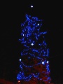 vánoční strom v Novém Městě pod Smrkem
